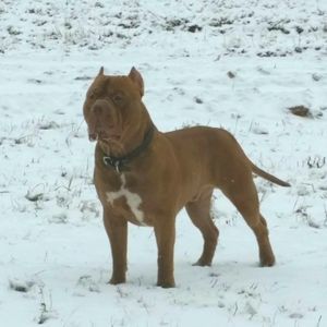 Meet your Posher, Jackie